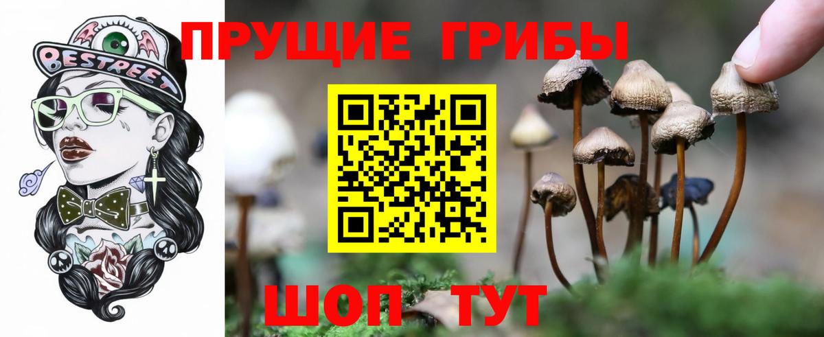 Псилоцибиновые грибы Magic Shrooms  где купить   Ульяновск  Вход с VPN 